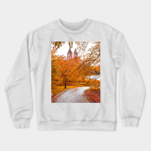 Central Park Fall 5 Crewneck Sweatshirt by igjustin